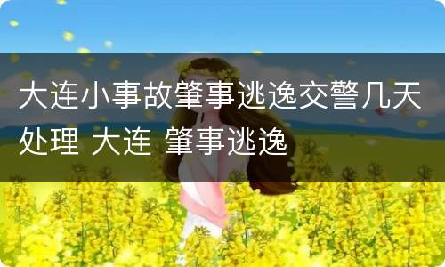 大连小事故肇事逃逸交警几天处理 大连 肇事逃逸