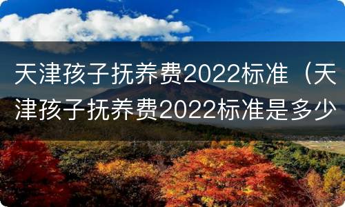 天津孩子抚养费2022标准（天津孩子抚养费2022标准是多少钱）