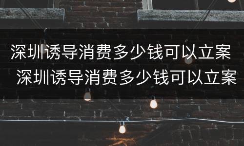 深圳诱导消费多少钱可以立案 深圳诱导消费多少钱可以立案侦查