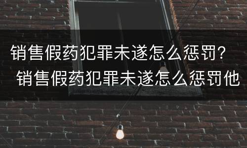 销售假药犯罪未遂怎么惩罚？ 销售假药犯罪未遂怎么惩罚他