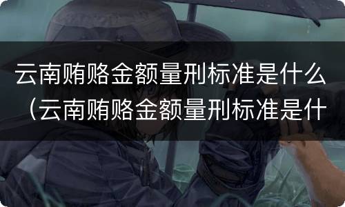 云南贿赂金额量刑标准是什么（云南贿赂金额量刑标准是什么规定）