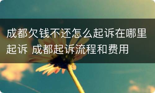 成都欠钱不还怎么起诉在哪里起诉 成都起诉流程和费用