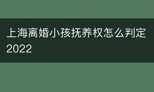 上海离婚小孩抚养权怎么判定2022