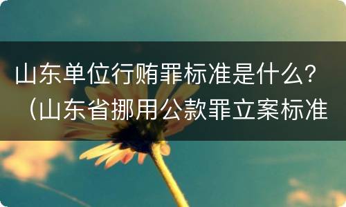 山东单位行贿罪标准是什么？（山东省挪用公款罪立案标准）