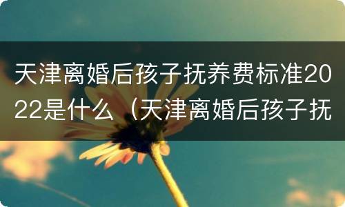 天津离婚后孩子抚养费标准2022是什么（天津离婚后孩子抚养费是多少?）