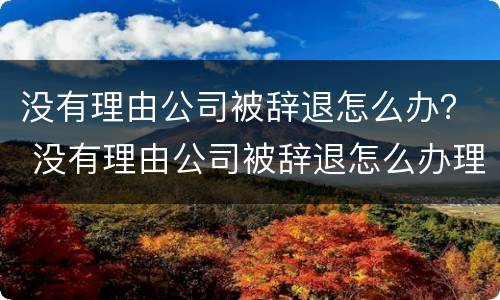 没有理由公司被辞退怎么办？ 没有理由公司被辞退怎么办理