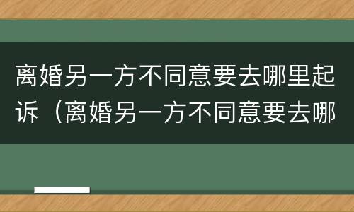 离婚另一方不同意要去哪里起诉（离婚另一方不同意要去哪里起诉他）