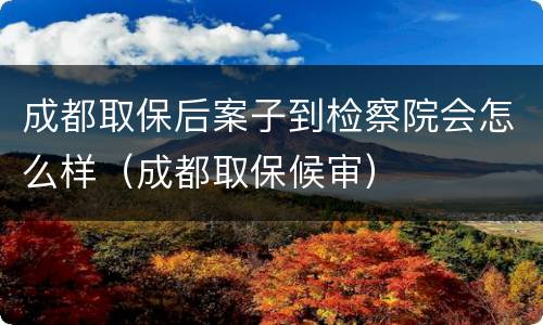 成都取保后案子到检察院会怎么样（成都取保候审）