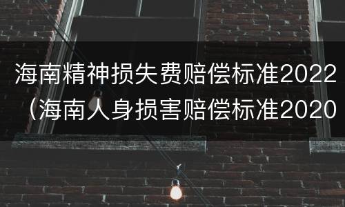 海南精神损失费赔偿标准2022（海南人身损害赔偿标准2020）