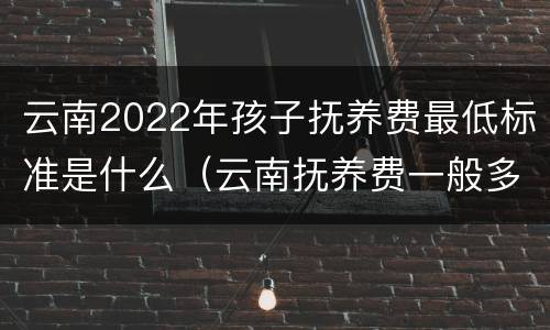 云南2022年孩子抚养费最低标准是什么（云南抚养费一般多少）