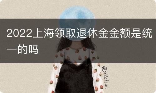 2022上海领取退休金金额是统一的吗