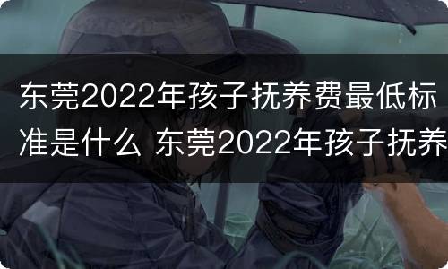 东莞2022年孩子抚养费最低标准是什么 东莞2022年孩子抚养费最低标准是什么时候发放