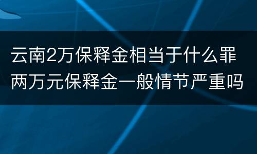 云南2万保释金相当于什么罪 两万元保释金一般情节严重吗