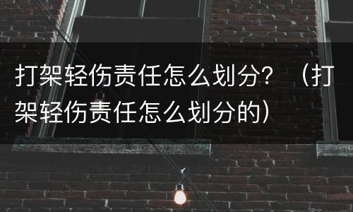 打架轻伤责任怎么划分？（打架轻伤责任怎么划分的）