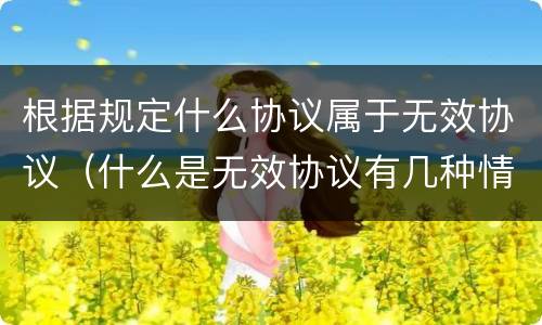 根据规定什么协议属于无效协议（什么是无效协议有几种情形）