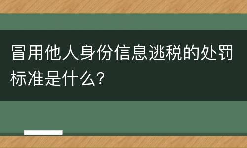冒用他人身份信息逃税的处罚标准是什么？