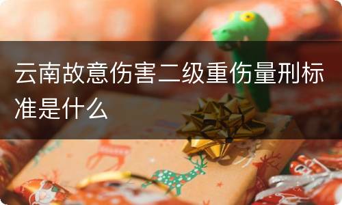 云南故意伤害二级重伤量刑标准是什么
