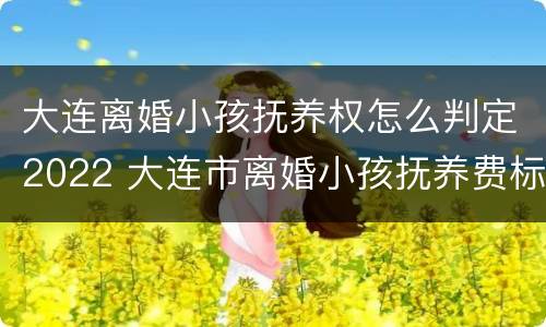 大连离婚小孩抚养权怎么判定2022 大连市离婚小孩抚养费标准