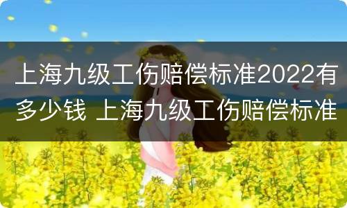 上海九级工伤赔偿标准2022有多少钱 上海九级工伤赔偿标准一览表