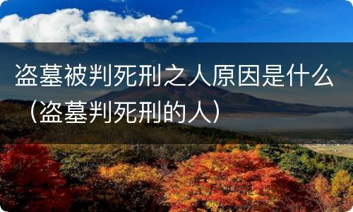 盗墓被判死刑之人原因是什么（盗墓判死刑的人）