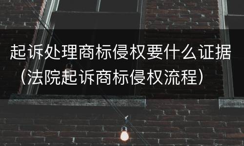 起诉处理商标侵权要什么证据（法院起诉商标侵权流程）
