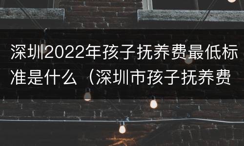 深圳2022年孩子抚养费最低标准是什么（深圳市孩子抚养费标准是多少）