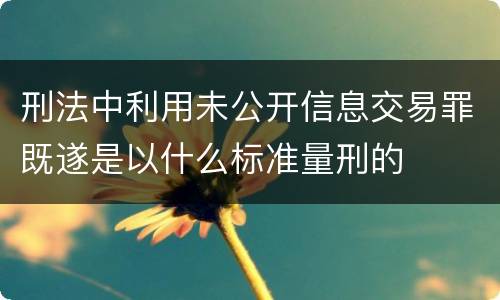 刑法中利用未公开信息交易罪既遂是以什么标准量刑的