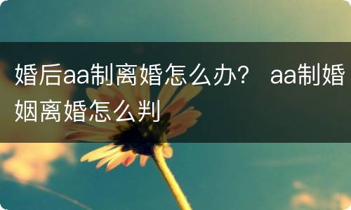 婚后aa制离婚怎么办？ aa制婚姻离婚怎么判