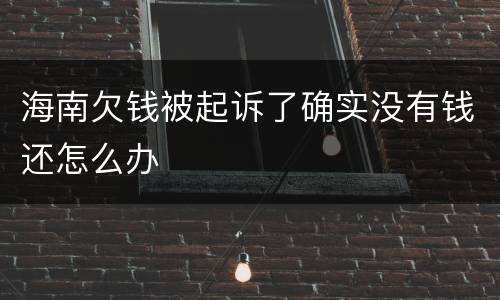 海南欠钱被起诉了确实没有钱还怎么办