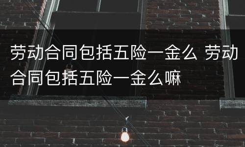 劳动合同包括五险一金么 劳动合同包括五险一金么嘛