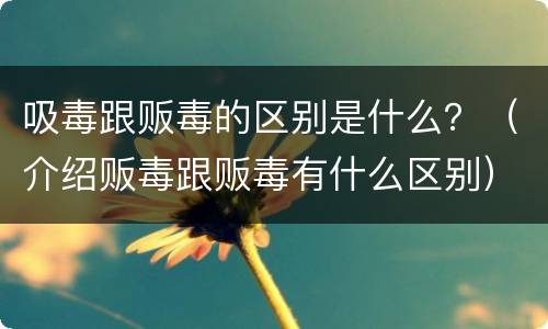 吸毒跟贩毒的区别是什么？（介绍贩毒跟贩毒有什么区别）