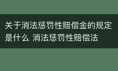 关于消法惩罚性赔偿金的规定是什么 消法惩罚性赔偿法