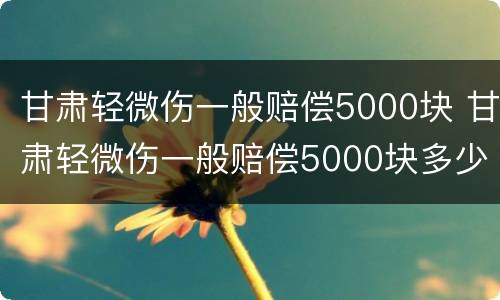 甘肃轻微伤一般赔偿5000块 甘肃轻微伤一般赔偿5000块多少