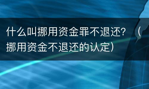 什么叫挪用资金罪不退还？（挪用资金不退还的认定）