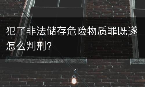 犯了非法储存危险物质罪既遂怎么判刑?