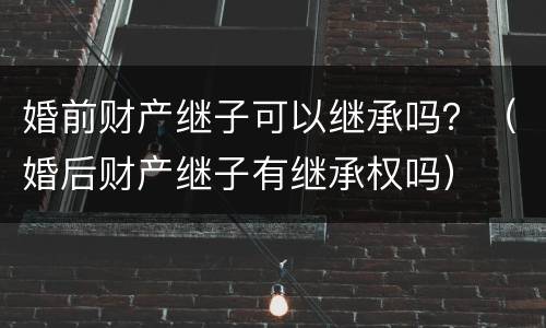 婚前财产继子可以继承吗？（婚后财产继子有继承权吗）