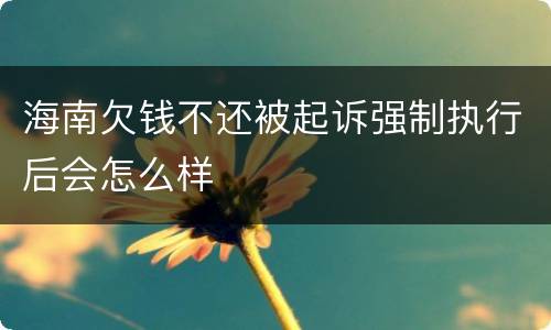 海南欠钱不还被起诉强制执行后会怎么样