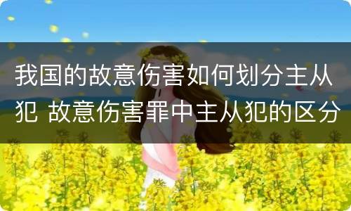 我国的故意伤害如何划分主从犯 故意伤害罪中主从犯的区分