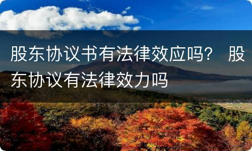 股东协议书有法律效应吗？ 股东协议有法律效力吗