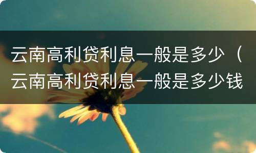 云南高利贷利息一般是多少（云南高利贷利息一般是多少钱）