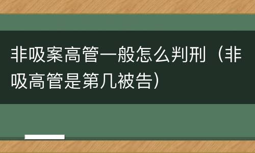 非吸案高管一般怎么判刑（非吸高管是第几被告）