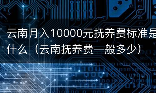 云南月入10000元抚养费标准是什么（云南抚养费一般多少）