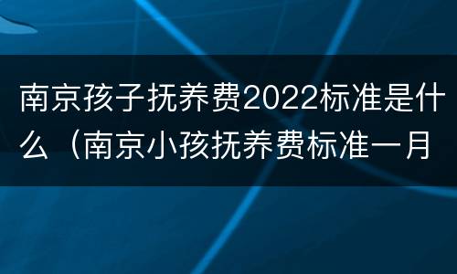 南京孩子抚养费2022标准是什么（南京小孩抚养费标准一月多少钱）