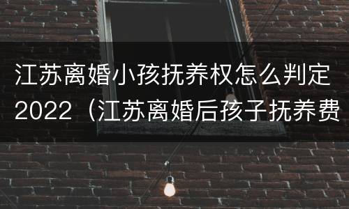 江苏离婚小孩抚养权怎么判定2022（江苏离婚后孩子抚养费标准2021年）