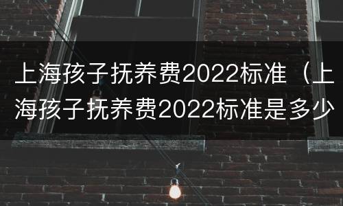 上海孩子抚养费2022标准（上海孩子抚养费2022标准是多少钱）