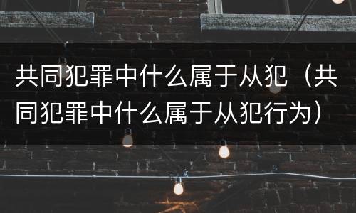 共同犯罪中什么属于从犯（共同犯罪中什么属于从犯行为）
