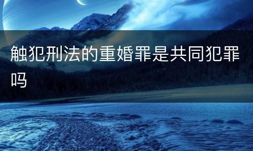 触犯刑法的重婚罪是共同犯罪吗