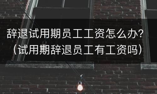 辞退试用期员工工资怎么办？（试用期辞退员工有工资吗）