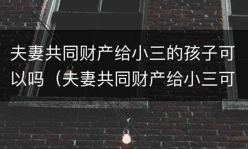 夫妻共同财产给小三的孩子可以吗（夫妻共同财产给小三可以追回吗）