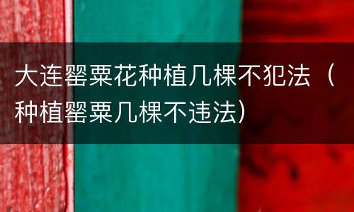 大连罂粟花种植几棵不犯法（种植罂粟几棵不违法）